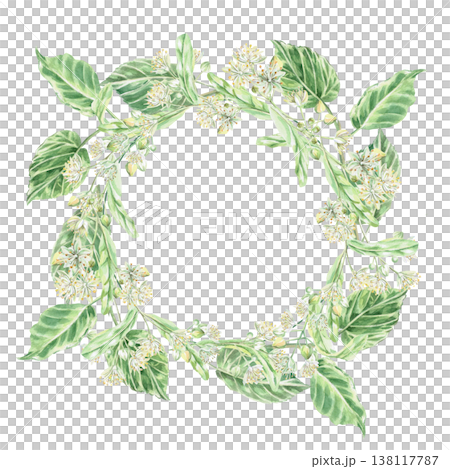 Wreath of linden blossoms and leaves. Isolated watercolor illustration for design of pharmaceutical, cosmetic, eco-friendly products and beverages, food products. Wreath of linden blossoms and leaves. Isolated watercolor illustration for design of pharmaceutical, cosmetic, eco-friendly products and beverages, food products. 138117787