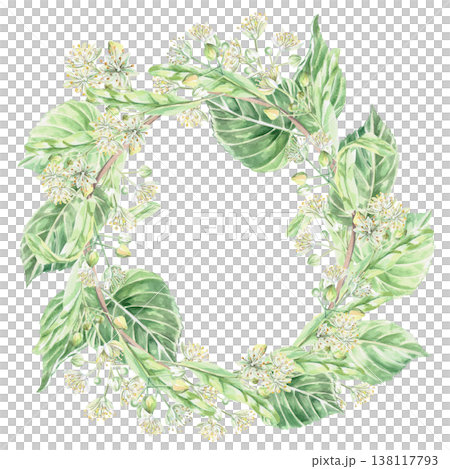Wreath of blossoming linden branches. Isolated watercolor illustration for pharmaceutical, cosmetic, eco-friendly products and beverages, food, health design. Wreath of blossoming linden branches. Isolated watercolor illustration for pharmaceutical, cosmetic, eco-friendly products and beverages, food, health design. 138117793