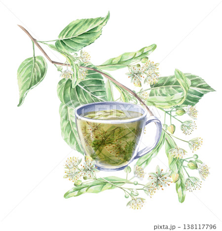 Cup with linden tea, curved linden branch. Isolated watercolor illustration for the design of pharmaceutical products, cosmetics, eco-friendly products and beverages, food, health. 138117796