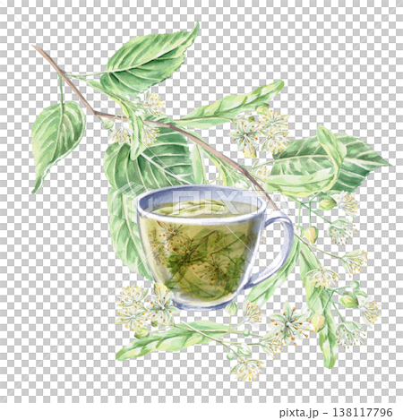 Cup with linden tea, curved linden branch. Isolated watercolor illustration for the design of pharmaceutical products, cosmetics, eco-friendly products and beverages, food, health. 138117796