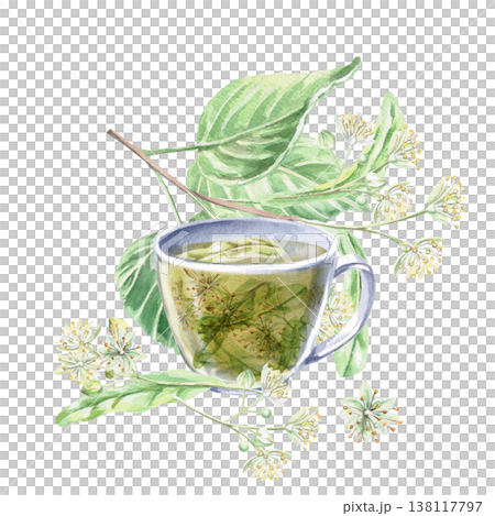 Cup with linden tea, linden branches and flowers. Isolated watercolor illustration for the design of pharmaceutical products, cosmetics, eco-friendly products and drinks, food, health. 138117797