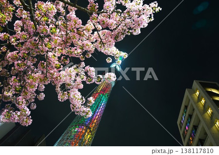 ライトアップされた桜とスカイツリー ライトアップされた桜とスカイツリー 138117810