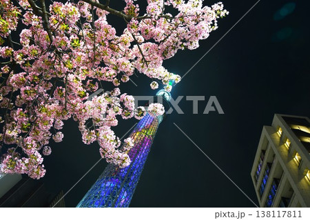ライトアップされた桜とスカイツリー ライトアップされた桜とスカイツリー 138117811