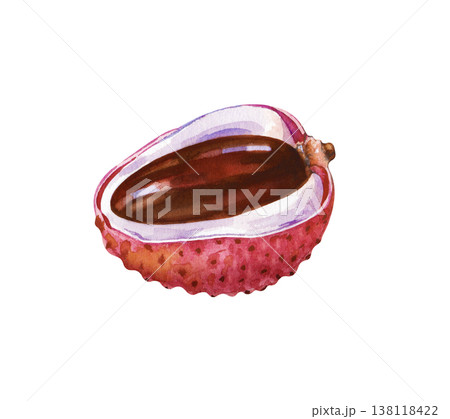 Half of a juicy lychee fruit with a brown shiny stone. Watercolor illustration of a sweet exotic fruit with pulp and peel on an isolated background. Realistic clipart for menus, labels, and healthy 138118422
