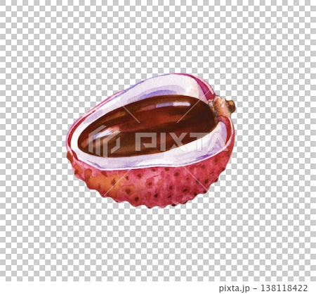 Half of a juicy lychee fruit with a brown shiny stone. Watercolor illustration of a sweet exotic fruit with pulp and peel on an isolated background. Realistic clipart for menus, labels, and healthy 138118422