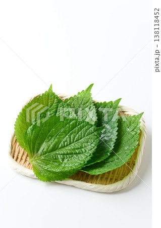 えごまの葉 138118452