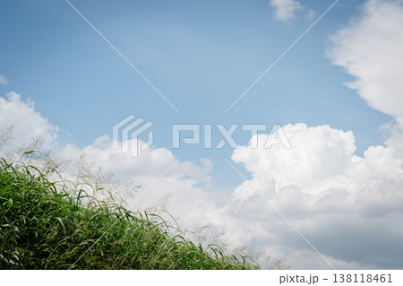 夏の青空と白い雲 夏の青空と白い雲 138118461