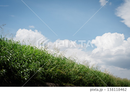 夏の空と小道 夏の青空と白い雲 夏の空と小道 夏の青空と白い雲 138118462