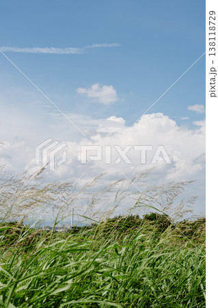 草原と青い空 138118729