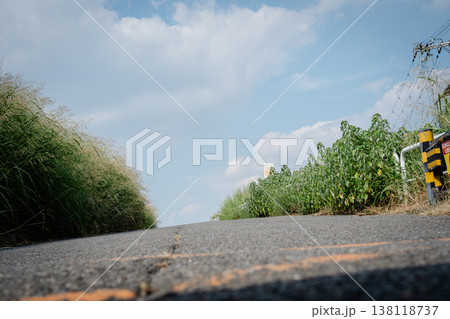 青空に伸びる草 138118737