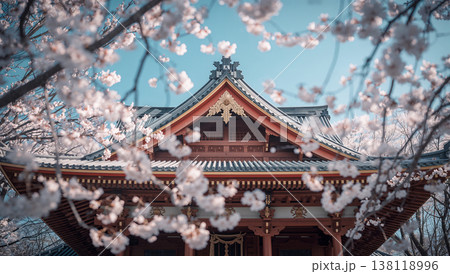低い視点で桜越しに見上げる神社建築の春の風景 138118996