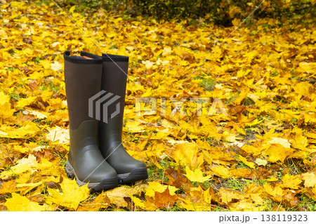 Rubber boots standing on yellow autumn leaves 138119323