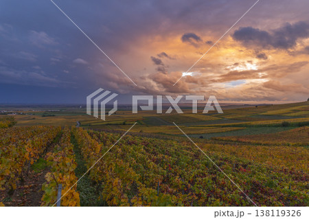 Bouzy Champagne vineyards glowing under dramatic autumn sky Bouzy Champagne vineyards glowing under dramatic autumn sky 138119326