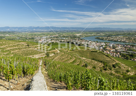 Vineyards covering hills overlooking Crozes Hermitage and Rhone river 138119361