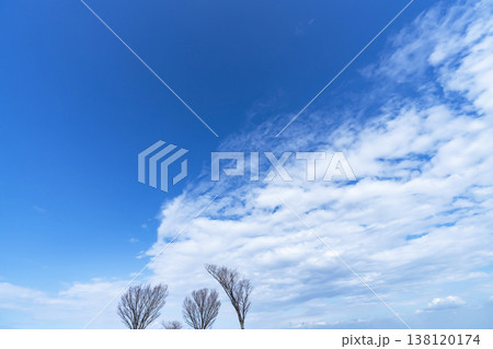青空と雲と木立 青空と雲と木立 138120174