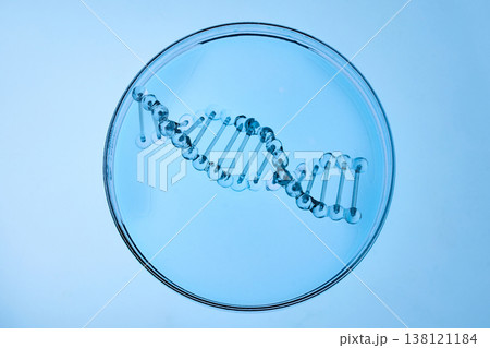 Abstract cosmetic lab. Dna double helix model resting in a glass petri dish Abstract cosmetic lab. Dna double helix model resting in a glass petri dish 138121184