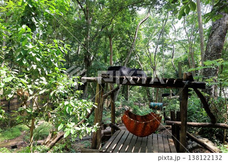 クアンシーの滝に併設しているツキノワグマ保護センター【ラオス・ルアンパバーン】 138122132