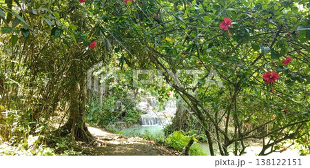 クアンシーの滝【ラオス・ルアンパバーン】 クアンシーの滝【ラオス・ルアンパバーン】 138122151