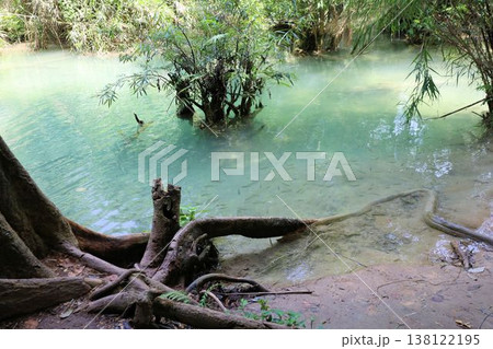 クアンシーの滝【ラオス・ルアンパバーン】 138122195