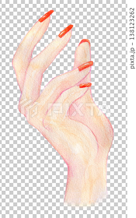 Watercolor illustration, hand-drawn illustration, hand illustration Watercolor illustration, hand-drawn illustration, hand illustration 138123262