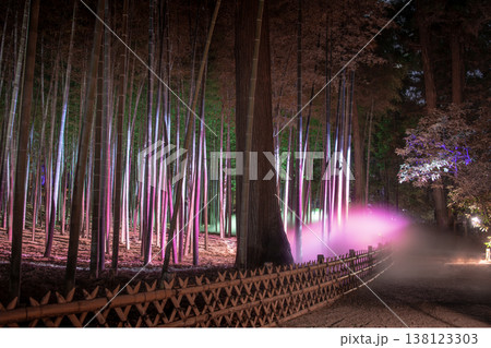 水戸偕楽園イルミネーション 138123303