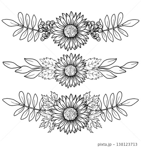 Set of sunflower frames with maple leaves and rowan berries. Botanical vector art. Black graphic illustration, hand drawn using line art. Suitable for frames, packaging and seasonal projects Set of sunflower frames with maple leaves and rowan berries. Botanical vector art. Black graphic illustration, hand drawn using line art. Suitable for frames, packaging and seasonal projects 138123713