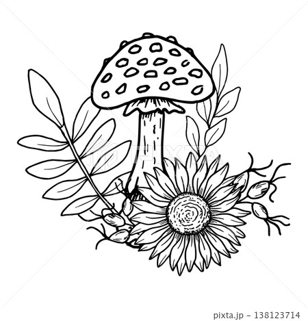 Composition of fly agarics with a sunflower, rose hips, branch with leaves. Botanical vector illustration. Hand drawn in black ink. Outline drawing of the mushroom, berries for seasonal celebrations 138123714