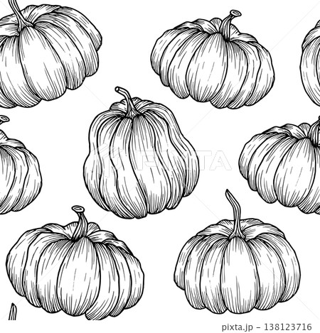 Seamless pumpkin pattern. Natural vegetable background. Simple black hand drawn graphics. Vector illustration of autumn berries. Outline drawing for Thanksgiving, agriculture and textiles 138123716