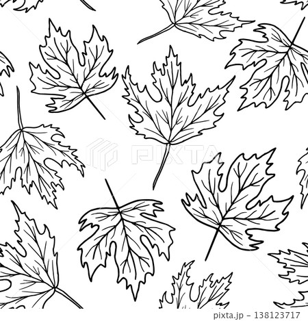 Seamless maple leaf pattern. Vector illustration of vegetation. Simple black hand drawn graphics. Outline drawing of rural nature. Background for festive events Thanksgiving, Halloween, fabrics Seamless maple leaf pattern. Vector illustration of vegetation. Simple black hand drawn graphics. Outline drawing of rural nature. Background for festive events Thanksgiving, Halloween, fabrics 138123717