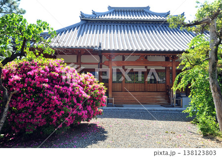 大阪 芥川宿 教宗寺 大阪 芥川宿 教宗寺 138123803