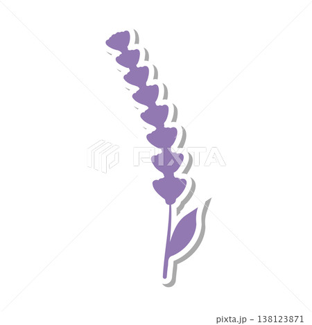 A charming purple lavender flower sticker is centered against a clean white backdrop. This simple graphic features a single blossom with a subtle shadow effect. A charming purple lavender flower sticker is centered against a clean white backdrop. This simple graphic features a single blossom with a subtle shadow effect. 138123871
