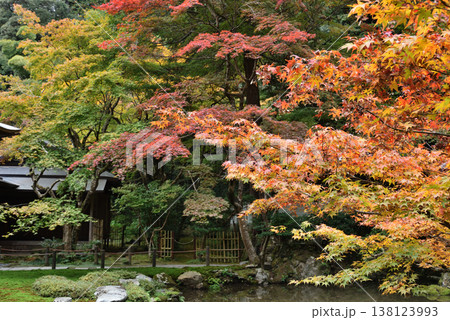 南禅院庭園 秋の曹源池(京都市左京区) 南禅院庭園 秋の曹源池(京都市左京区) 138123993