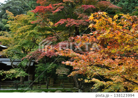 南禅院庭園　秋の曹源池(京都市左京区) 138123994