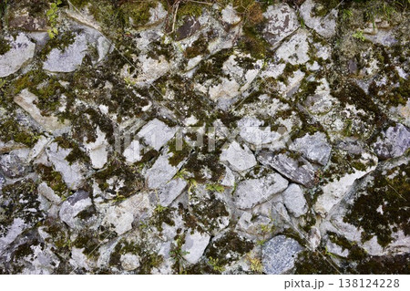 苔の生えた石垣 苔の生えた石垣 138124228
