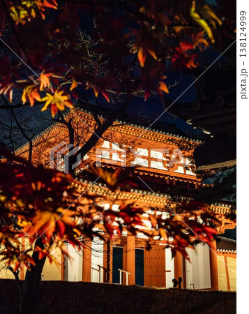 ライトアップされた紅葉 ライトアップされた紅葉 138124999