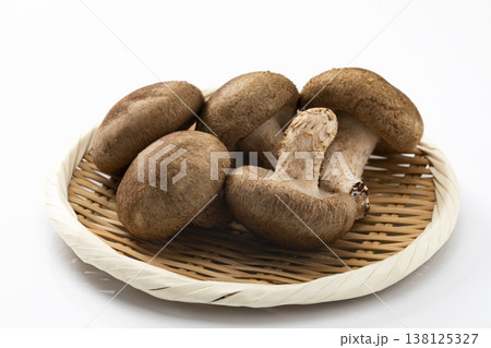 白バックのしいたけ 138125327