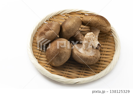 白バックのしいたけ 138125329