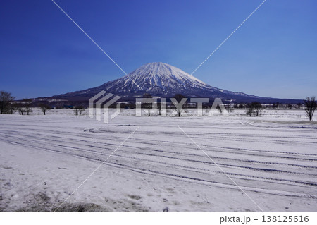 八幡駐車場から見る2026年3月の羊蹄山（倶知安町） 138125616