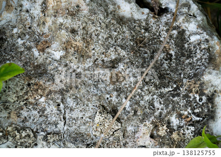 Textured Weathered Rock Surface with Natural Details Textured Weathered Rock Surface with Natural Details 138125755