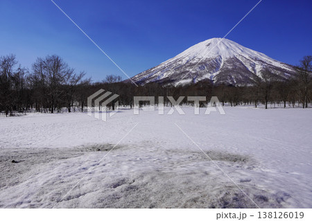 真狩村新陽駐車場から見る羊蹄山（2026年3月） 138126019