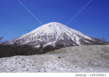 真狩村新陽駐車場から見る羊蹄山(2026年3月) 真狩村新陽駐車場から見る羊蹄山(2026年3月) 138126021