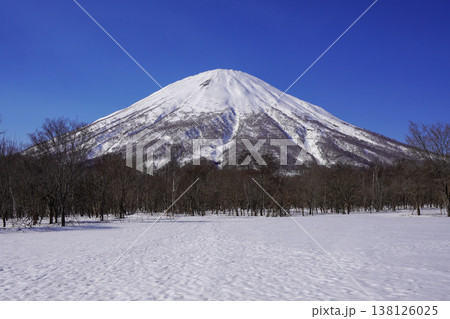 真狩村新陽駐車場から見る羊蹄山（2026年3月） 138126025