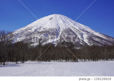 真狩村新陽駐車場から見る羊蹄山（2026年3月） 138126028