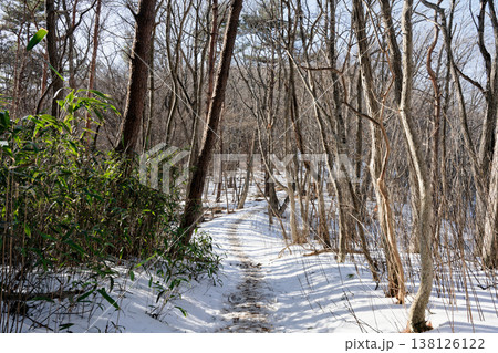 霊山の登山道 霊山の登山道 138126122