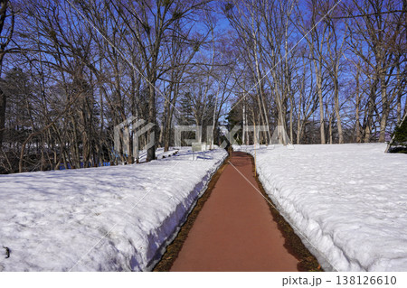 京極町、ふきだし公園の春(2026年3月) 京極町、ふきだし公園の春(2026年3月) 138126610