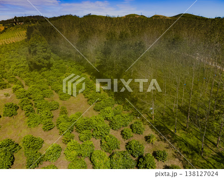 Highland plantations. 138127024