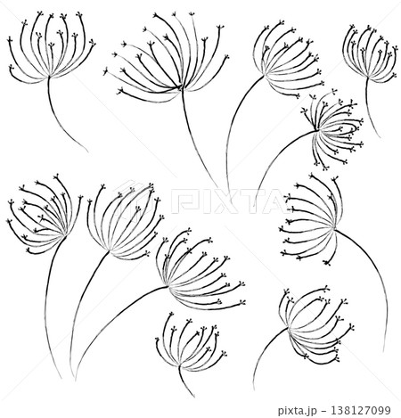 Set of hand-drawn minimalist floral sketches. Abstract black ink line art of wildflowers and dandelions isolated on a white background. Botanical vector elements for design. Set of hand-drawn minimalist floral sketches. Abstract black ink line art of wildflowers and dandelions isolated on a white background. Botanical vector elements for design. 138127099
