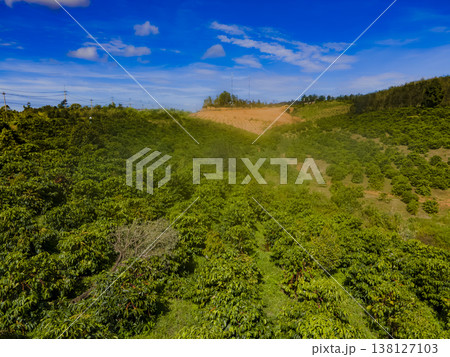 Highland plantations. Highland plantations. 138127103