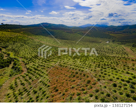 Highland plantations. 138127154