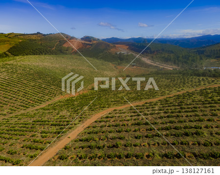 Highland plantations. Highland plantations. 138127161